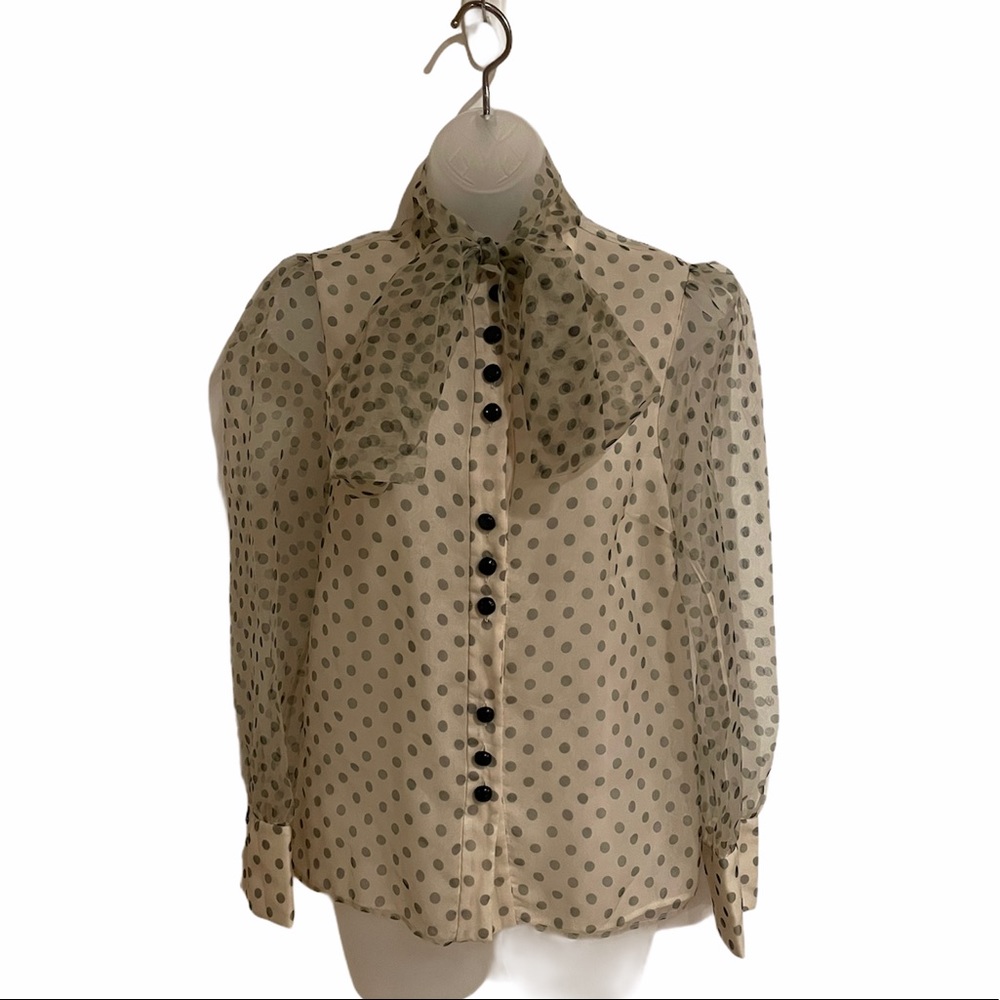 Zara Polka Dot Sheer See-through Long Sleeve
